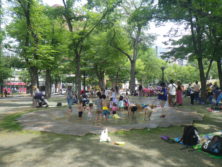 大通西9丁目遊水路の画像y